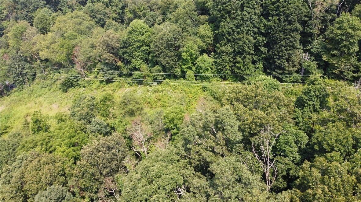 TBD England Road - Photo 6