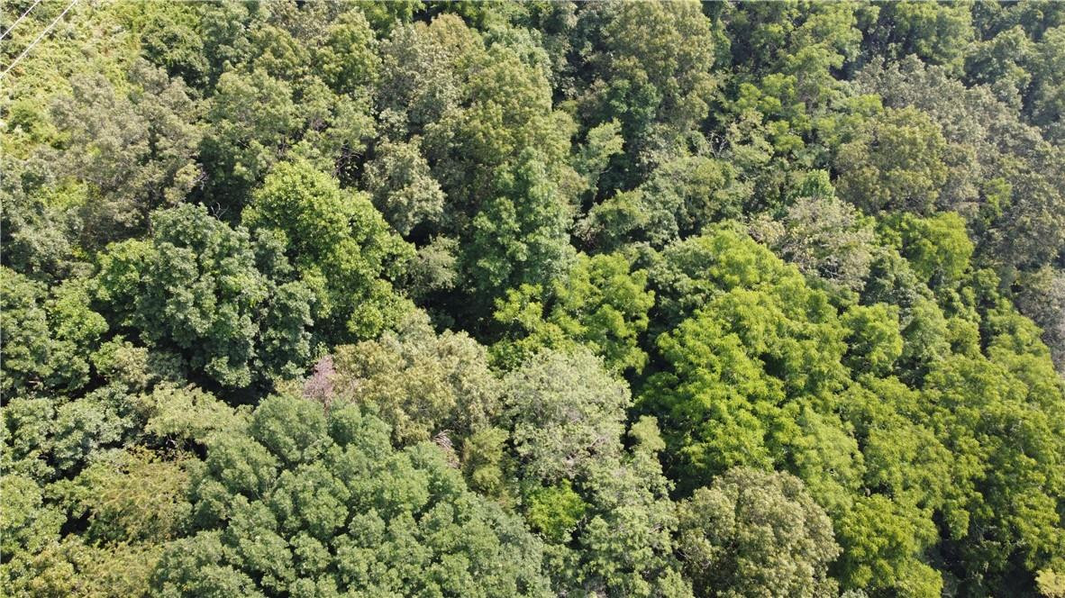 TBD England Road - Photo 7