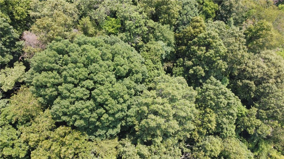 TBD England Road - Photo 8