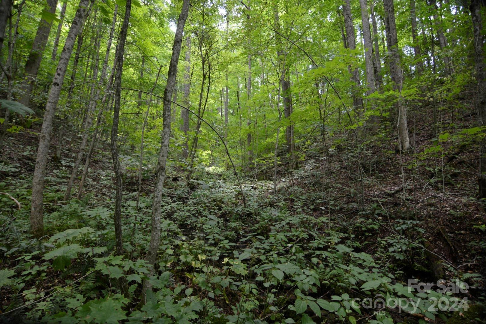 00 Little Pond Pass #Lot #33 - Photo 11