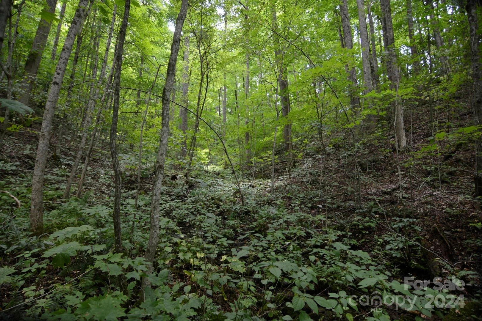 00 Little Pond Pass #Lot #33 - Photo 11