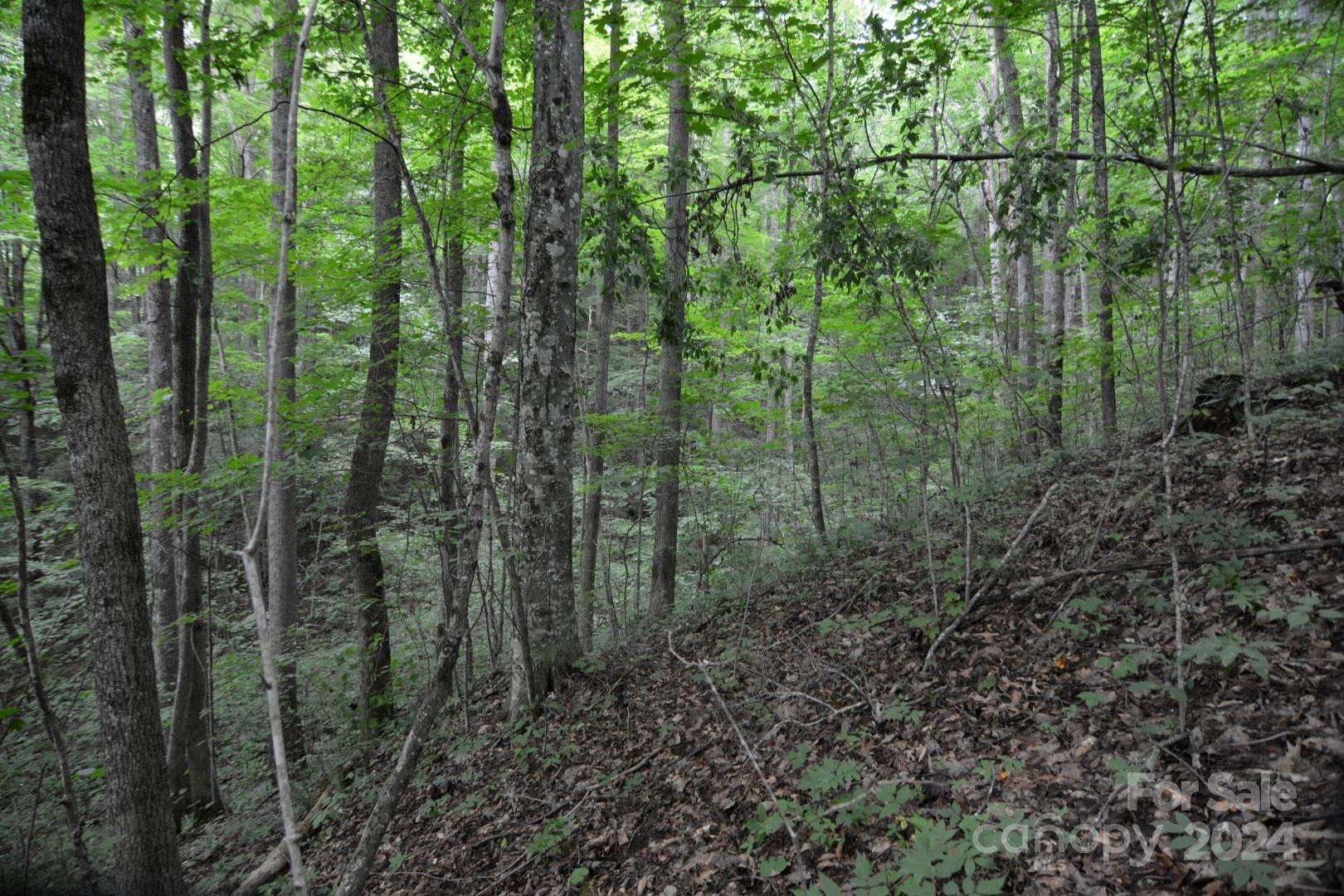 00 Little Pond Pass #Lot #33 - Photo 12