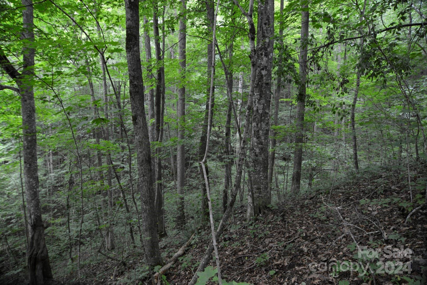 00 Little Pond Pass #Lot #33 - Photo 13