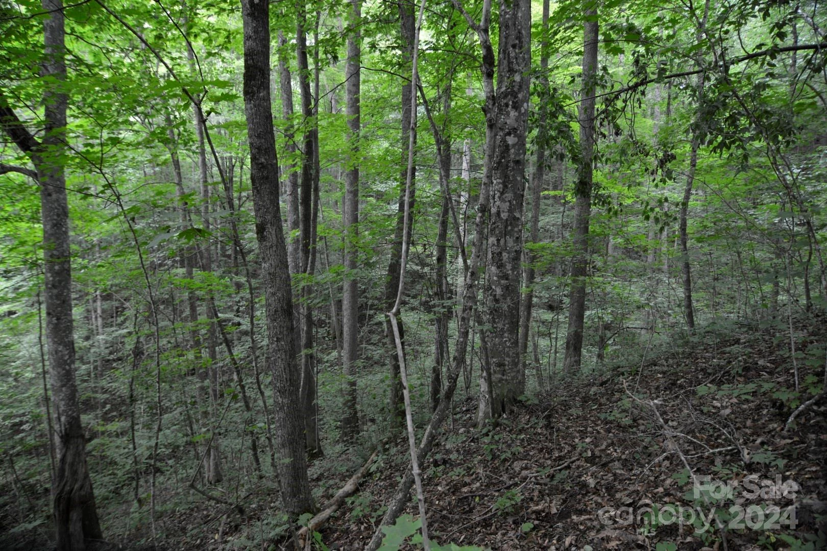 00 Little Pond Pass #Lot #33 - Photo 13
