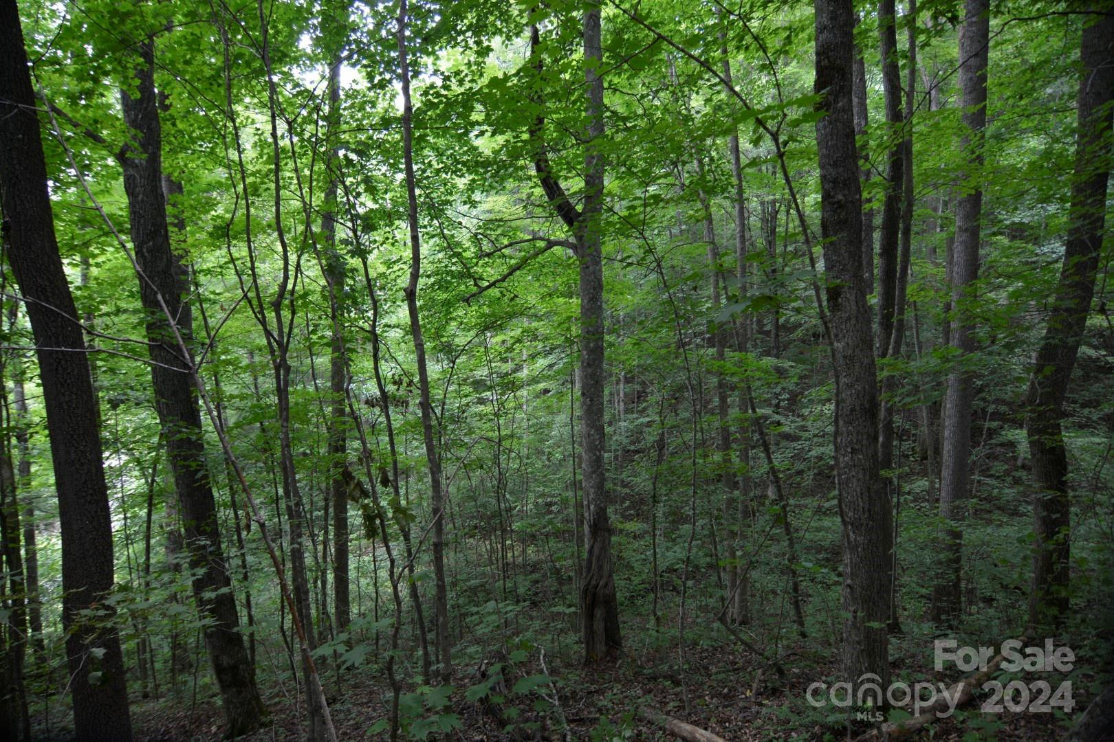 00 Little Pond Pass #Lot #33 - Photo 14