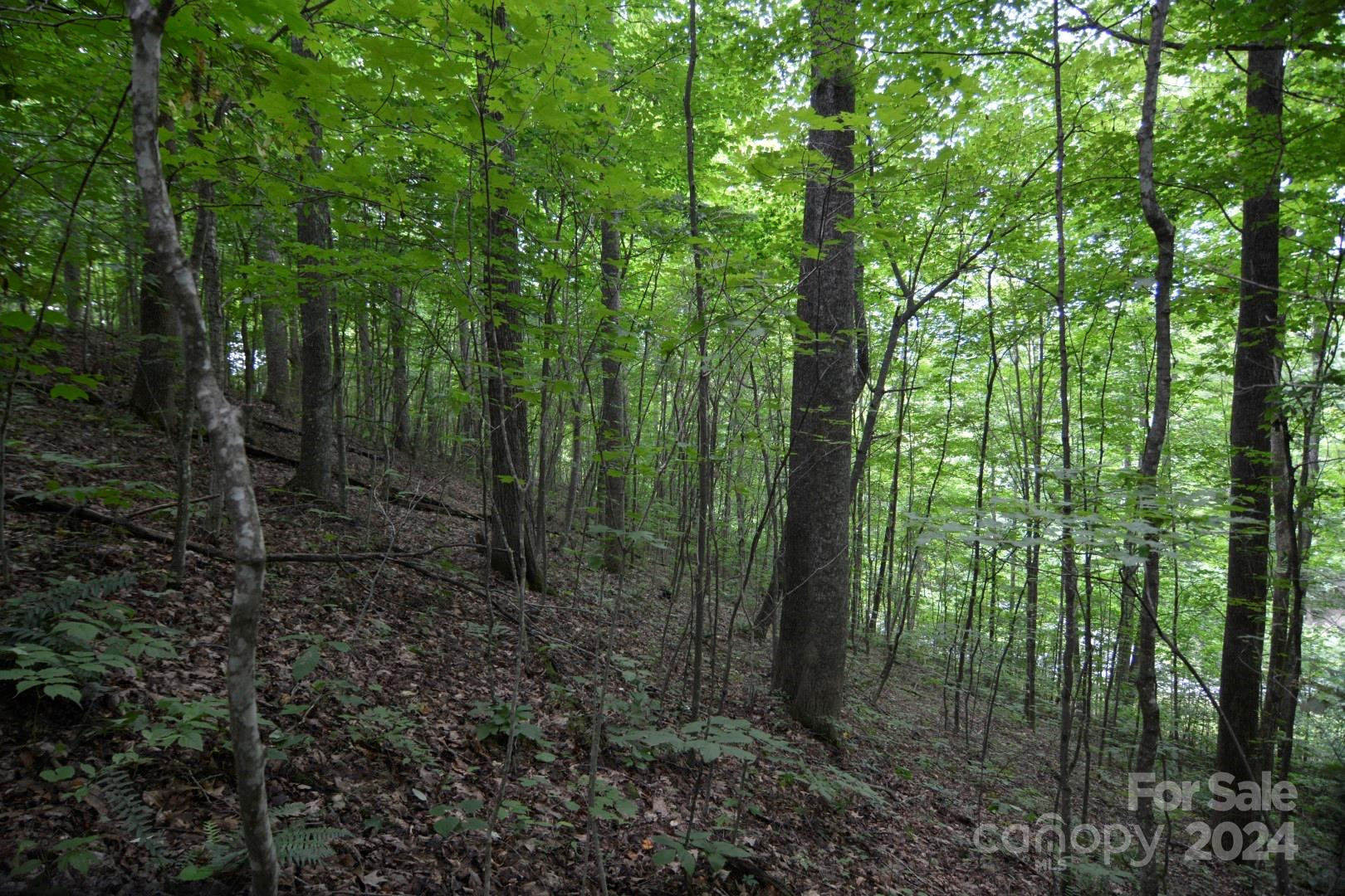 00 Little Pond Pass #Lot #33 - Photo 15