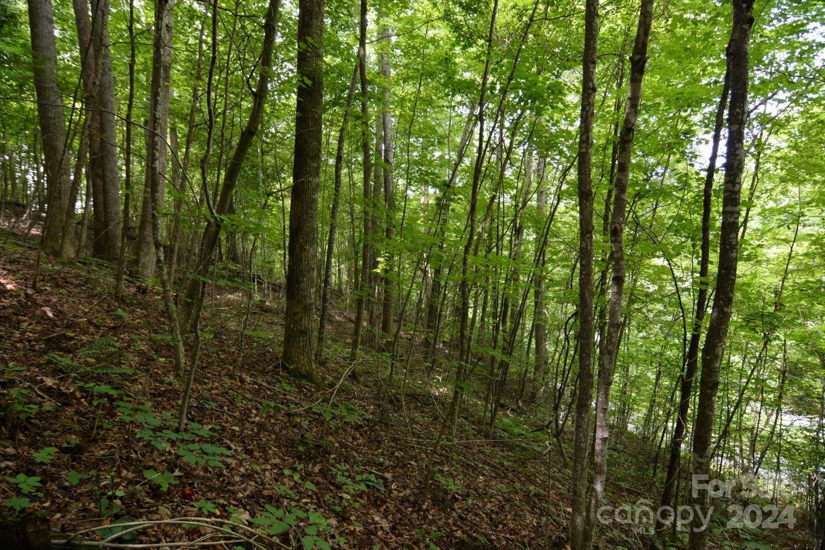 00 Little Pond Pass #Lot #33 - Photo 16