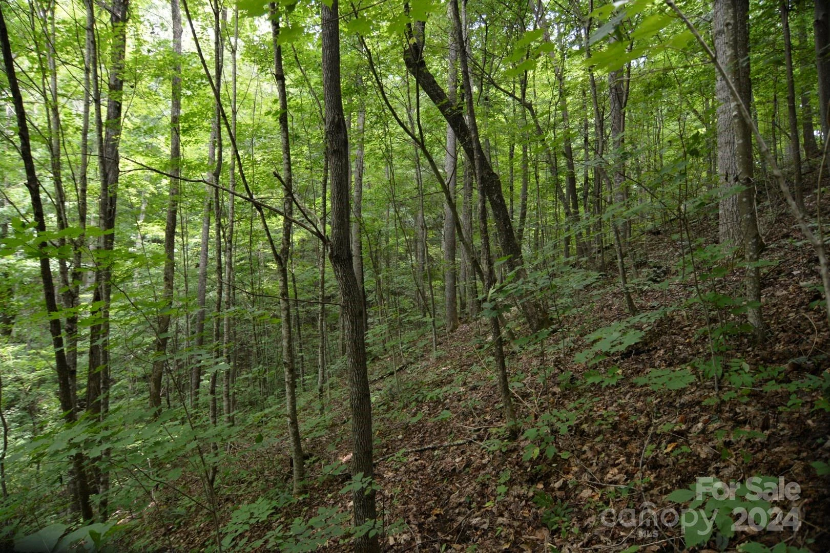 00 Little Pond Pass #Lot #33 - Photo 17