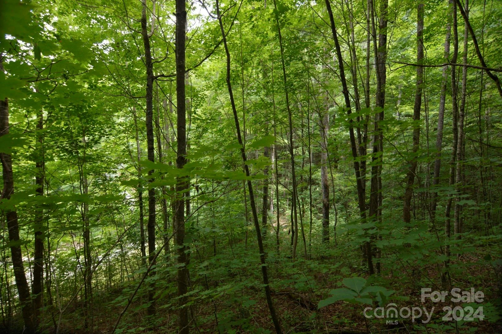 00 Little Pond Pass #Lot #33 - Photo 18