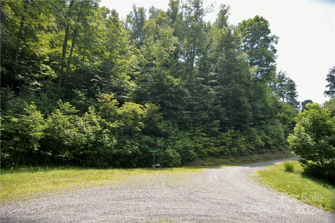 00 Little Pond Pass #Lot #33 - Photo 3