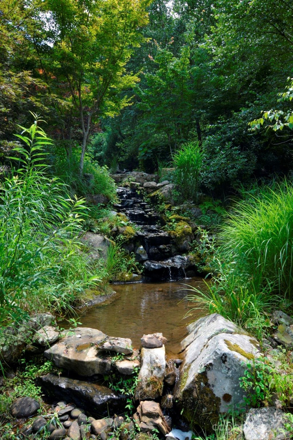 00 Little Pond Pass #Lot #33 - Photo 23