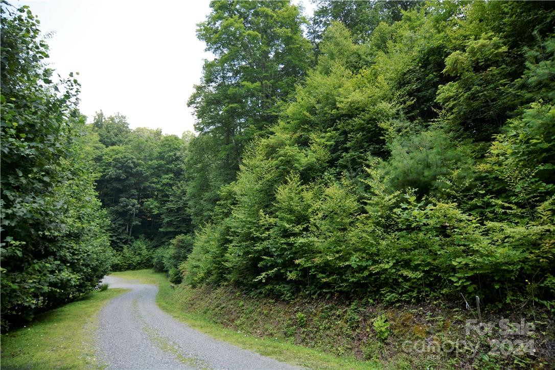 00 Little Pond Pass #Lot #33 - Photo 4