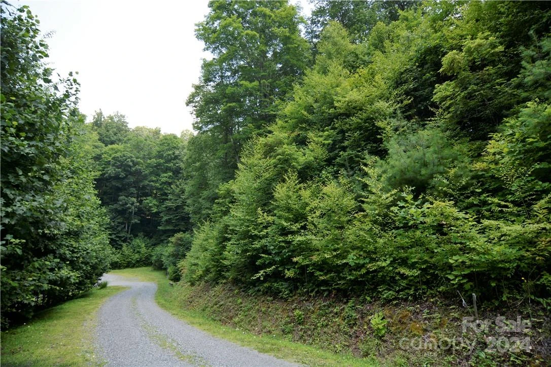 00 Little Pond Pass #Lot #33 - Photo 4