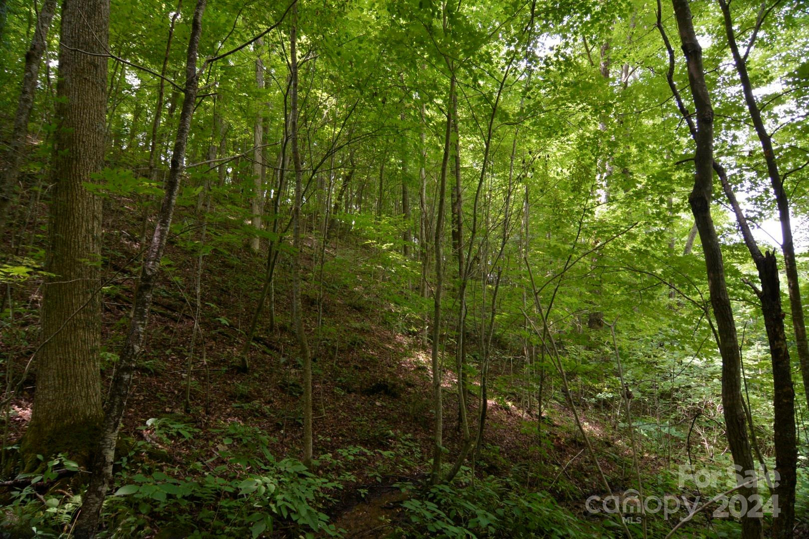 00 Little Pond Pass #Lot #33 - Photo 5