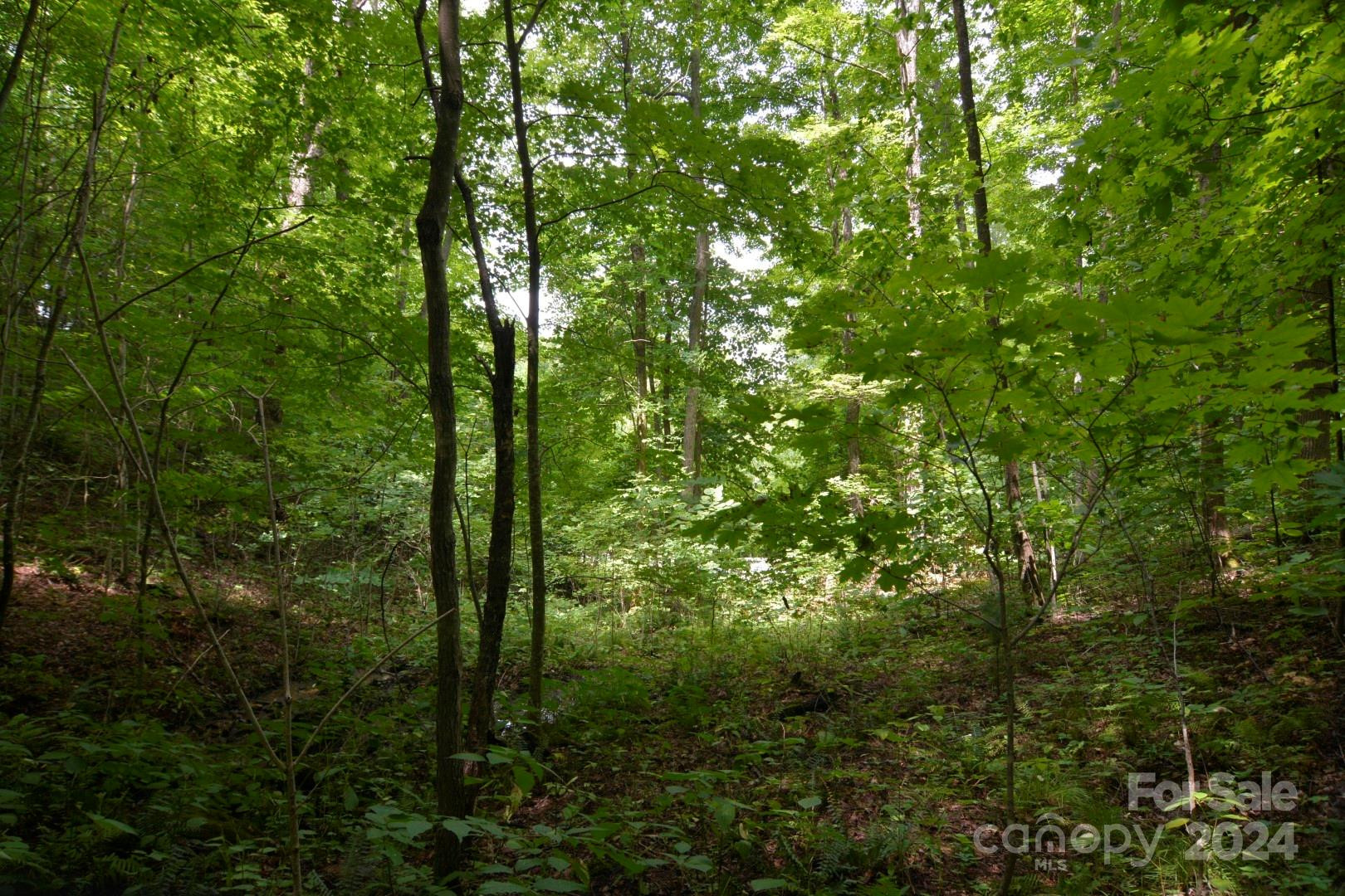 00 Little Pond Pass #Lot #33 - Photo 6