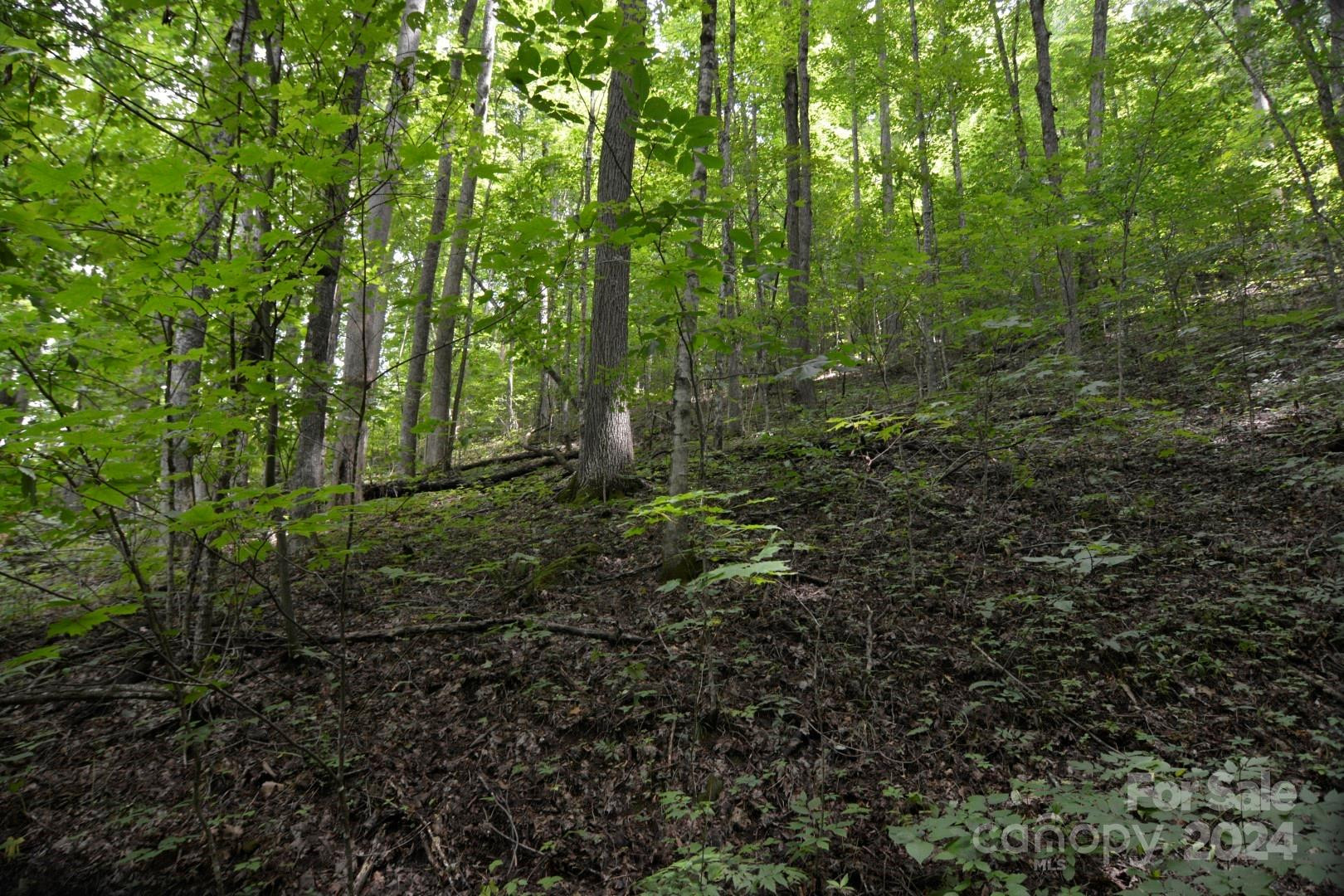 00 Little Pond Pass #Lot #33 - Photo 7