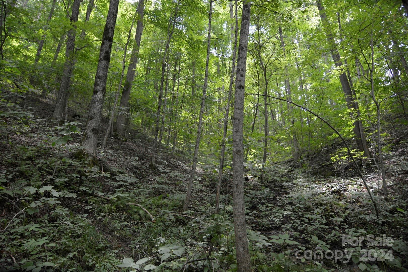 00 Little Pond Pass #Lot #33 - Photo 8