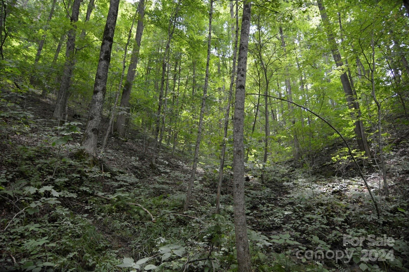 00 Little Pond Pass #Lot #33 - Photo 8
