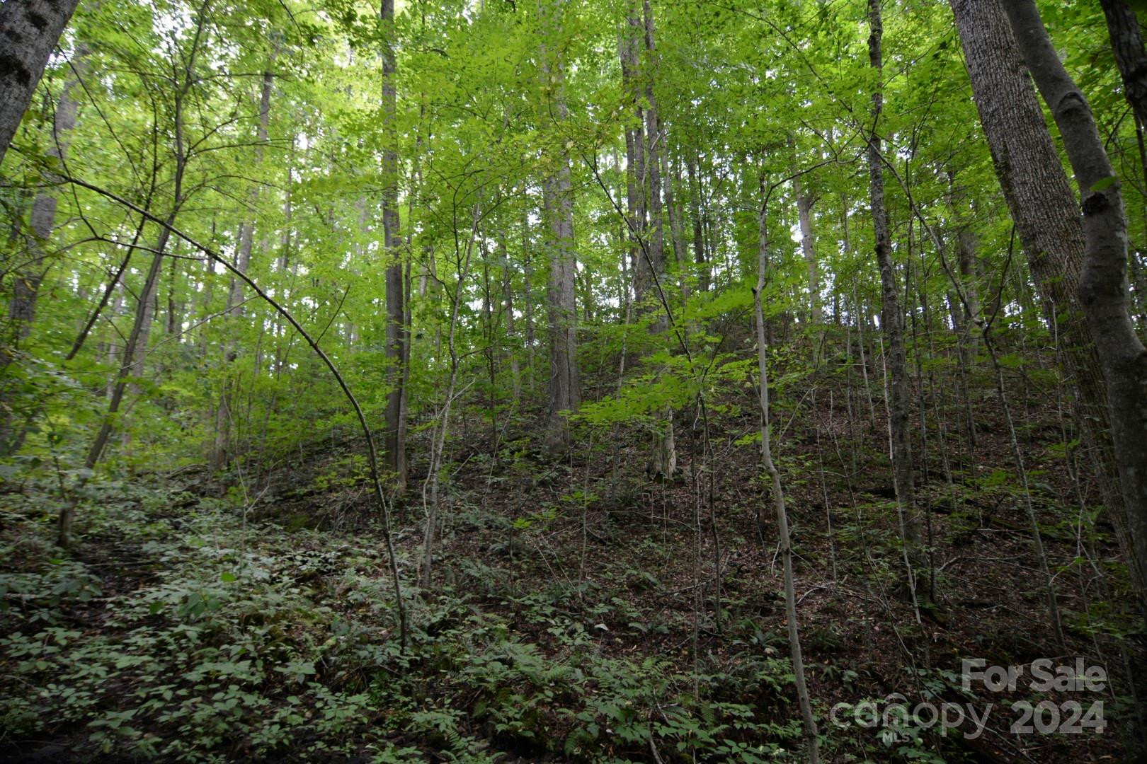 00 Little Pond Pass #Lot #33 - Photo 9