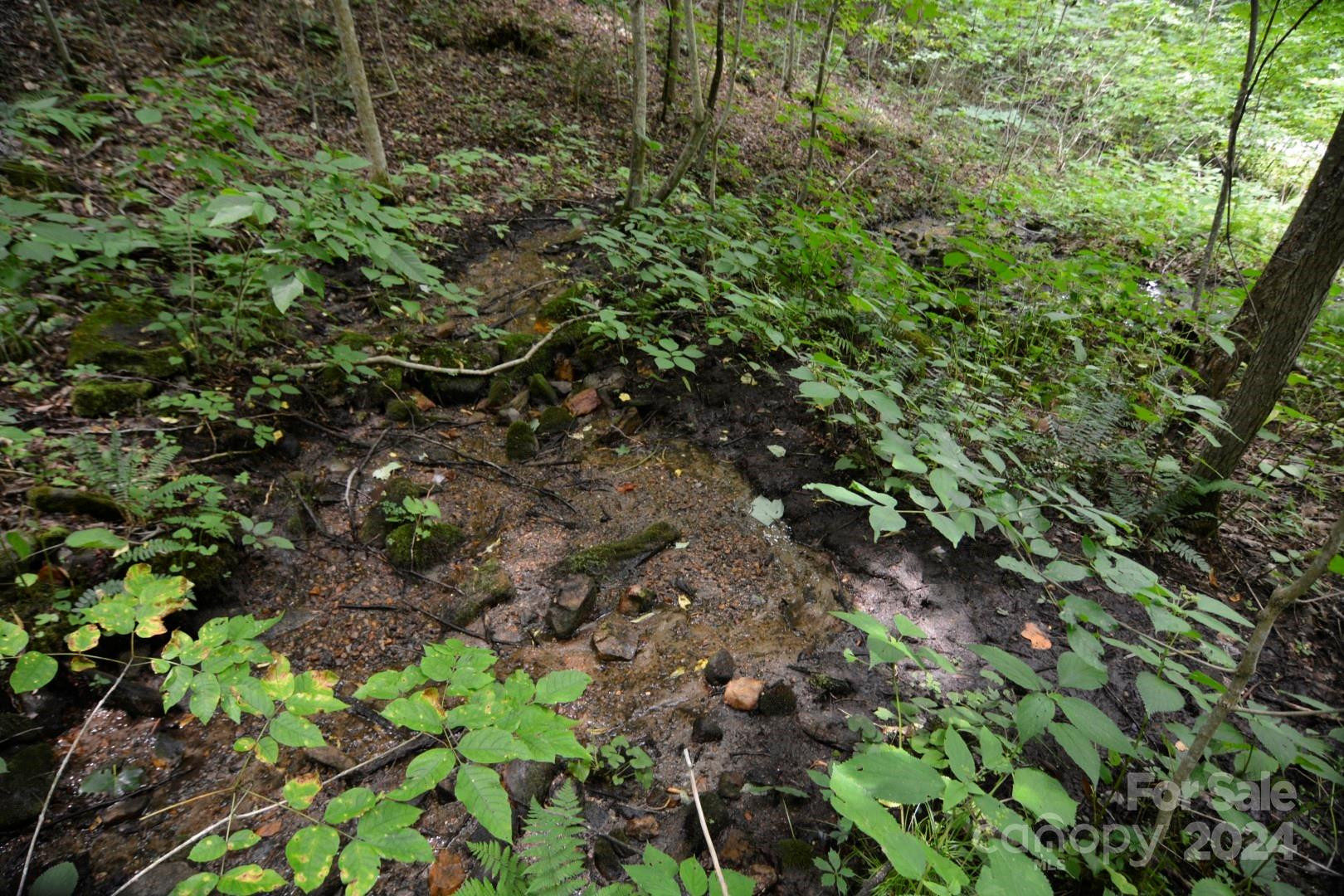 00 Little Pond Pass #Lot #33 - Photo 10