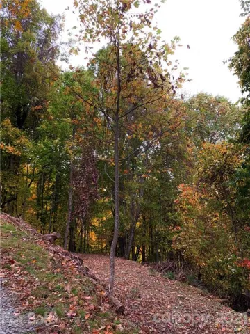 375 Buck Drive, Hot Springs, NC, 28743