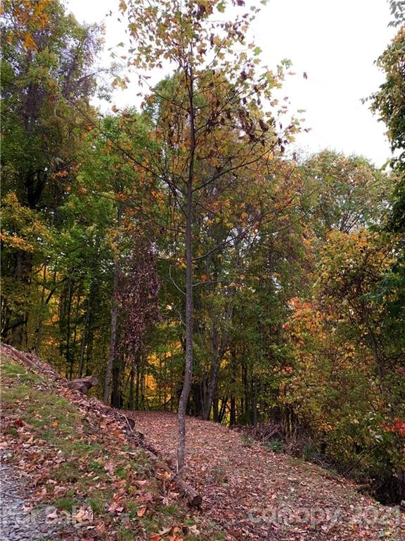 375 Buck Drive