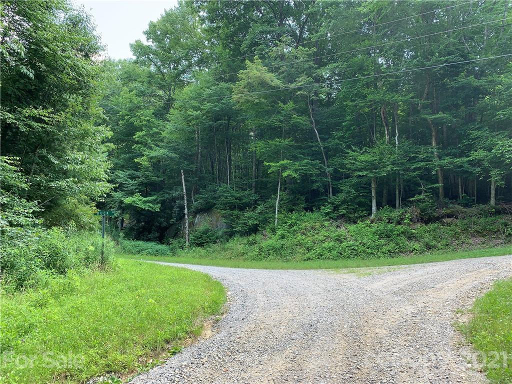 375 Buck Drive - Photo 11