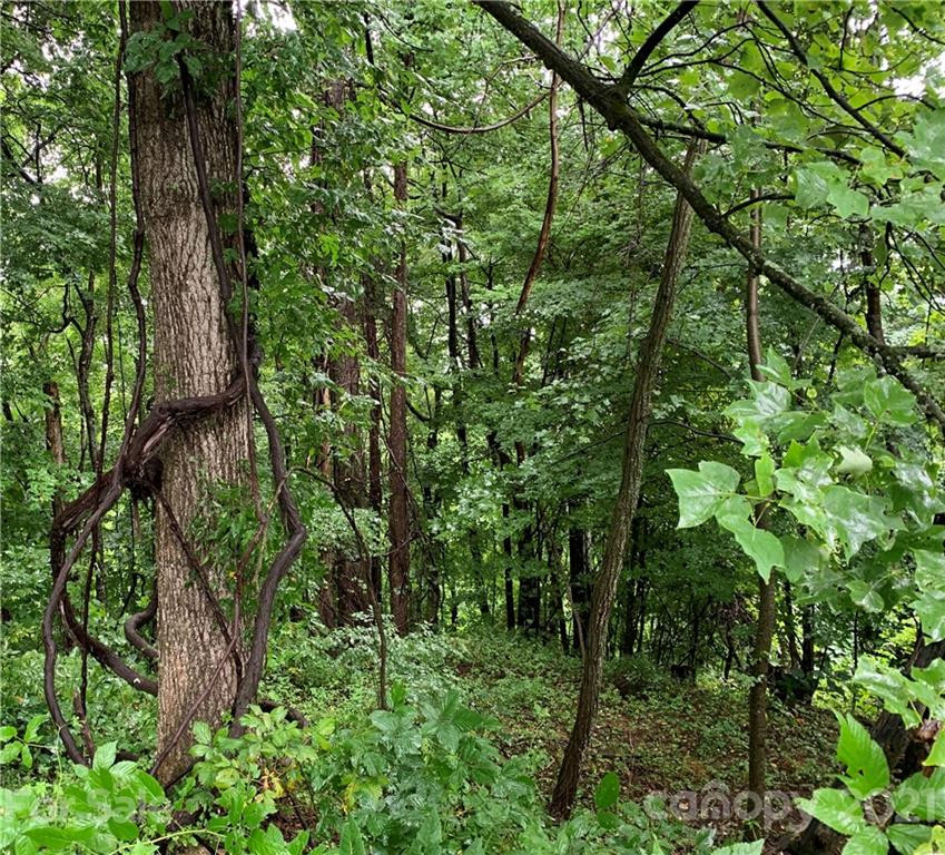 375 Buck Drive - Photo 12