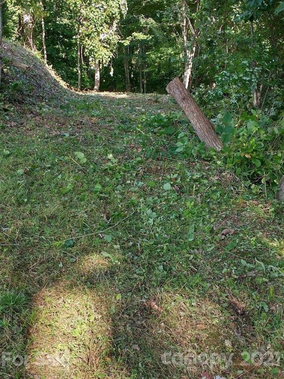 375 Buck Drive - Photo 13