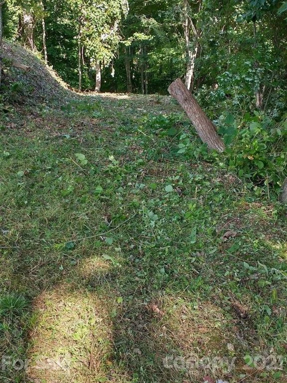 375 Buck Drive - Photo 13
