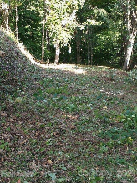 375 Buck Drive - Photo 14