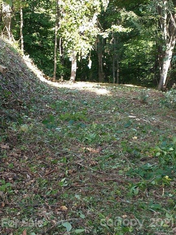 375 Buck Drive - Photo 14