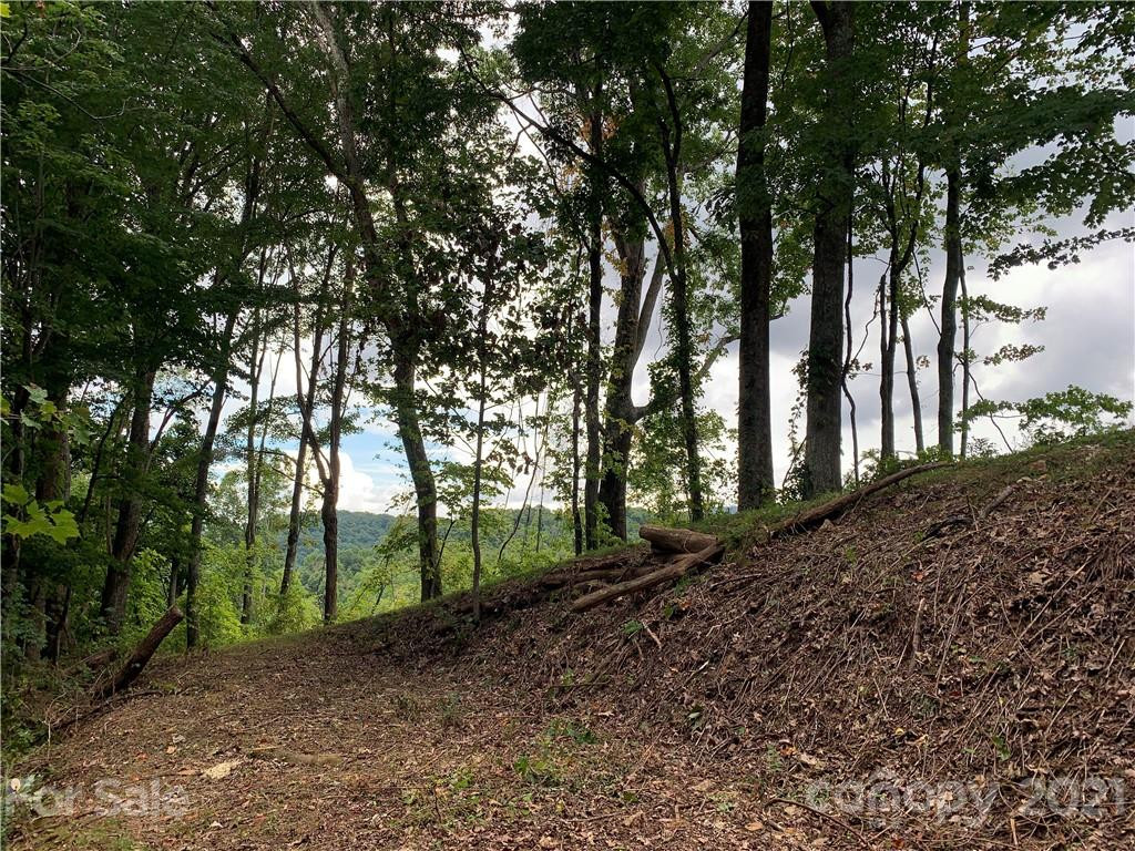 375 Buck Drive - Photo 15