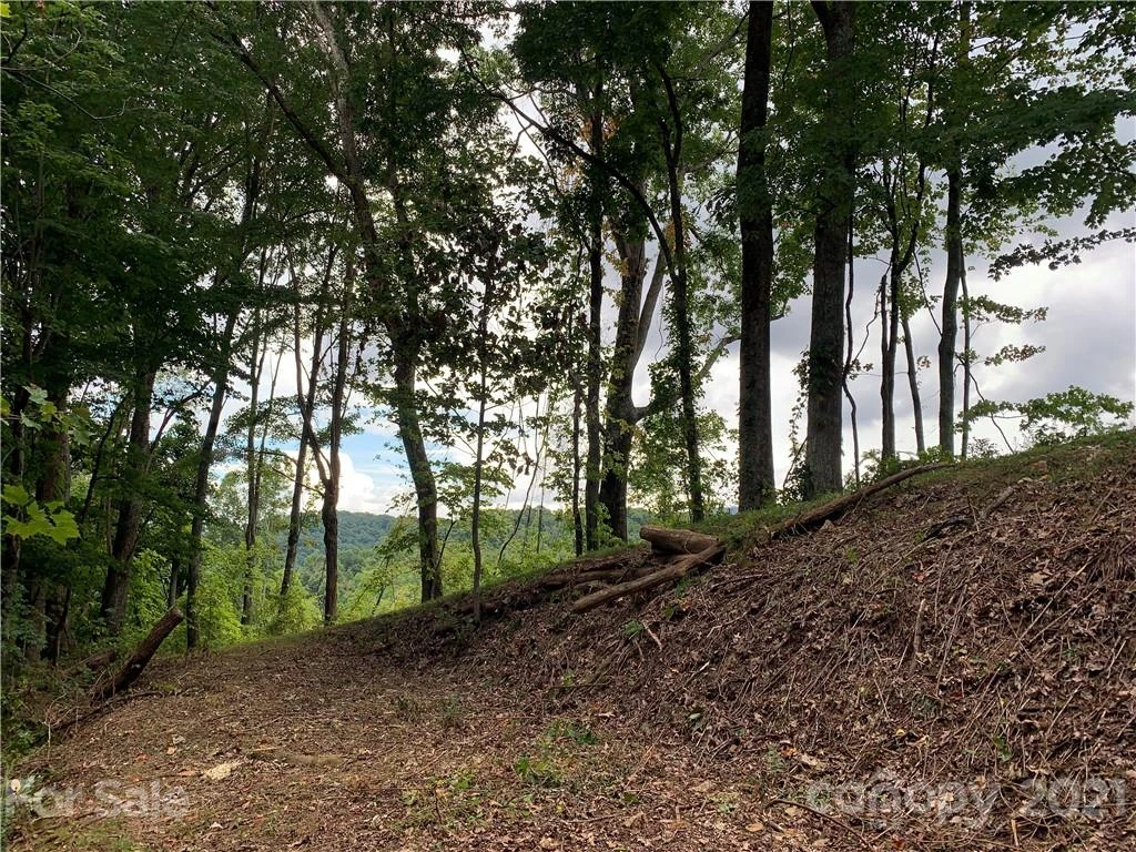 375 Buck Drive - Photo 15