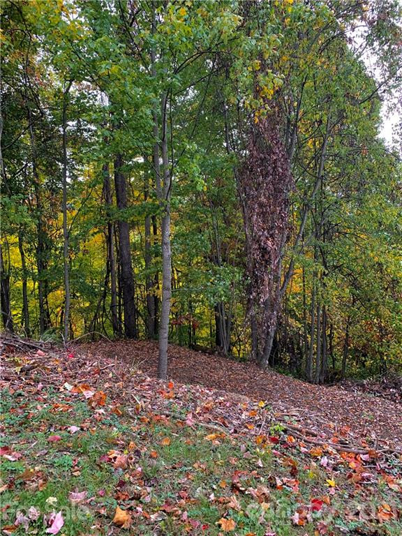 375 Buck Drive - Photo 16