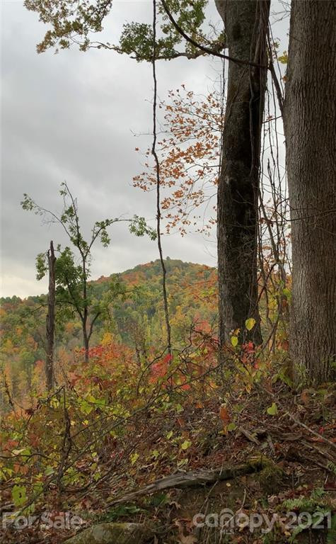 375 Buck Drive - Photo 3