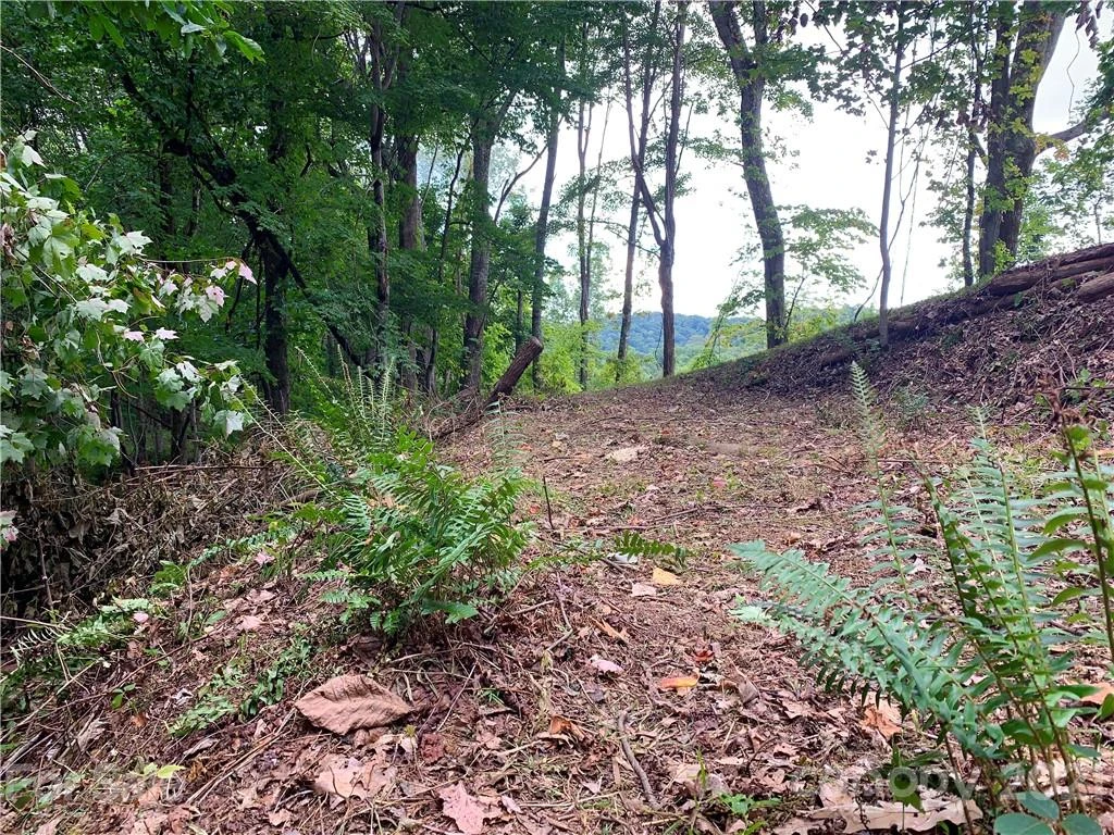 375 Buck Drive - Photo 4