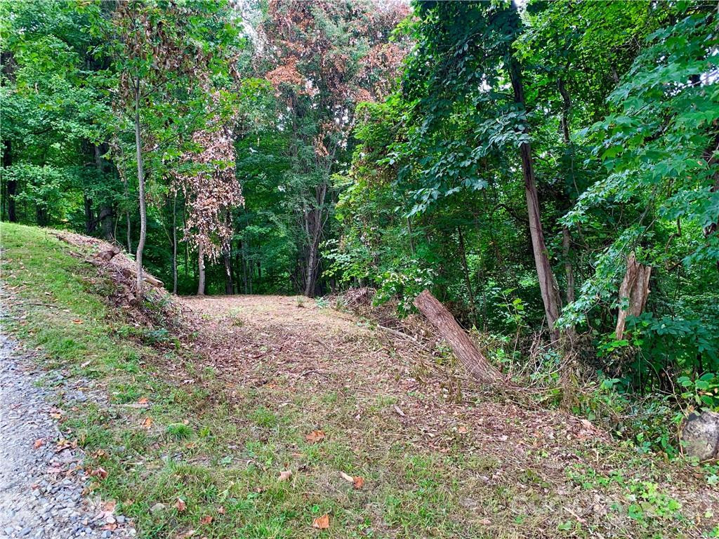 375 Buck Drive - Photo 5