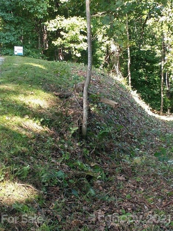 375 Buck Drive - Photo 7