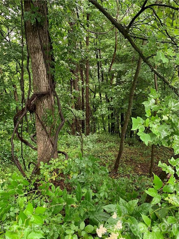 375 Buck Drive - Photo 8