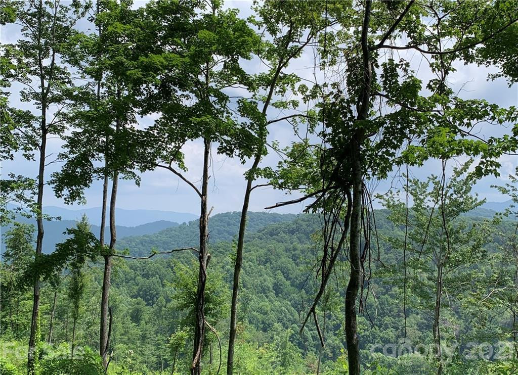 375 Buck Drive - Photo 9