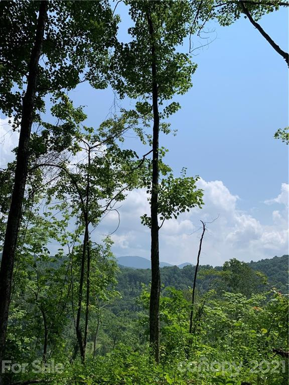 375 Buck Drive - Photo 10