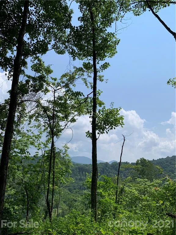 375 Buck Drive - Photo 10