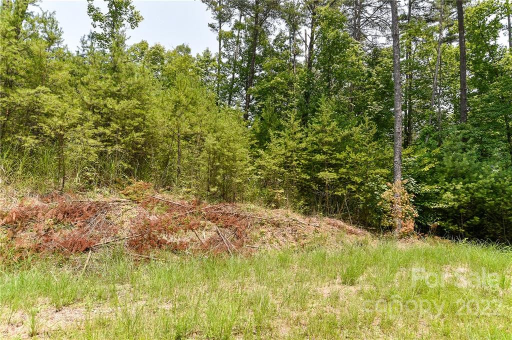 Lot 4 The Vines Boulevard #Lot 4 - Photo 4