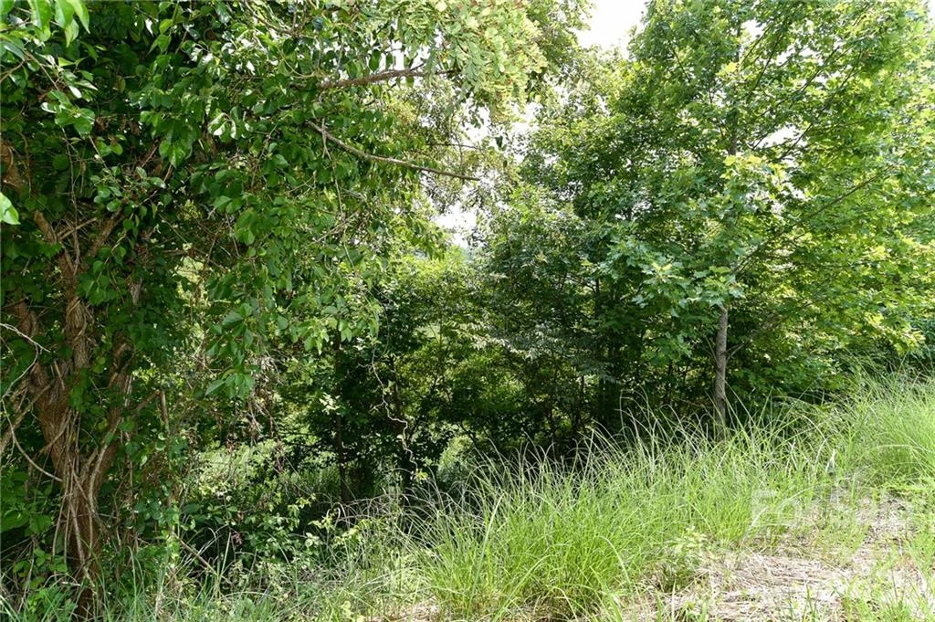 Lot 9 The Vines Boulevard #Lot 9 - Photo 2