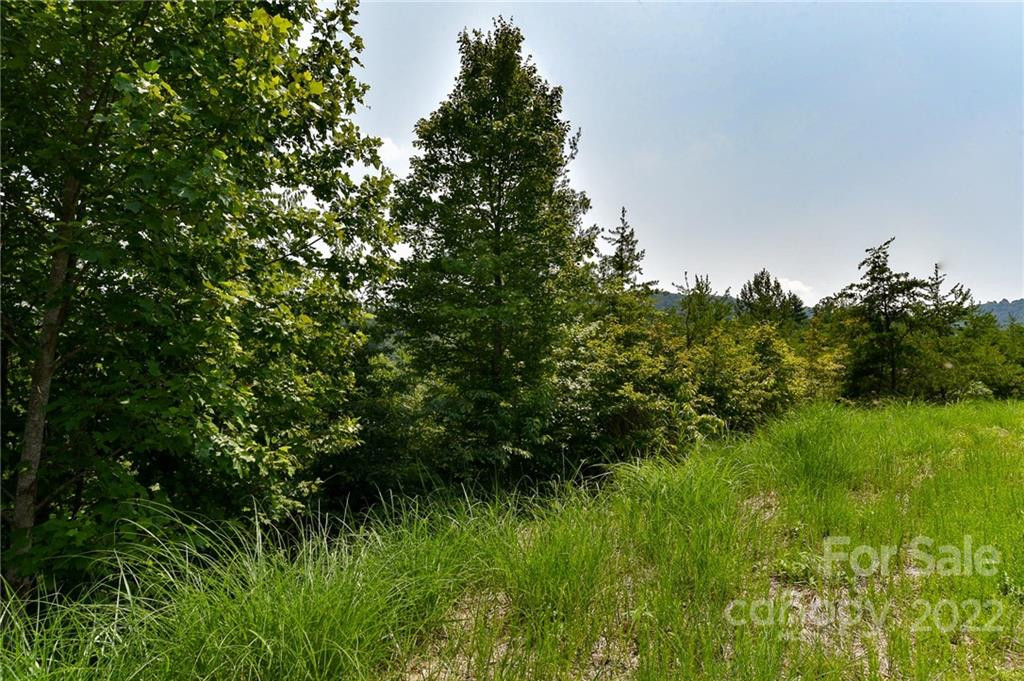 113 Chardonnay Avenue #10 - Photo 2