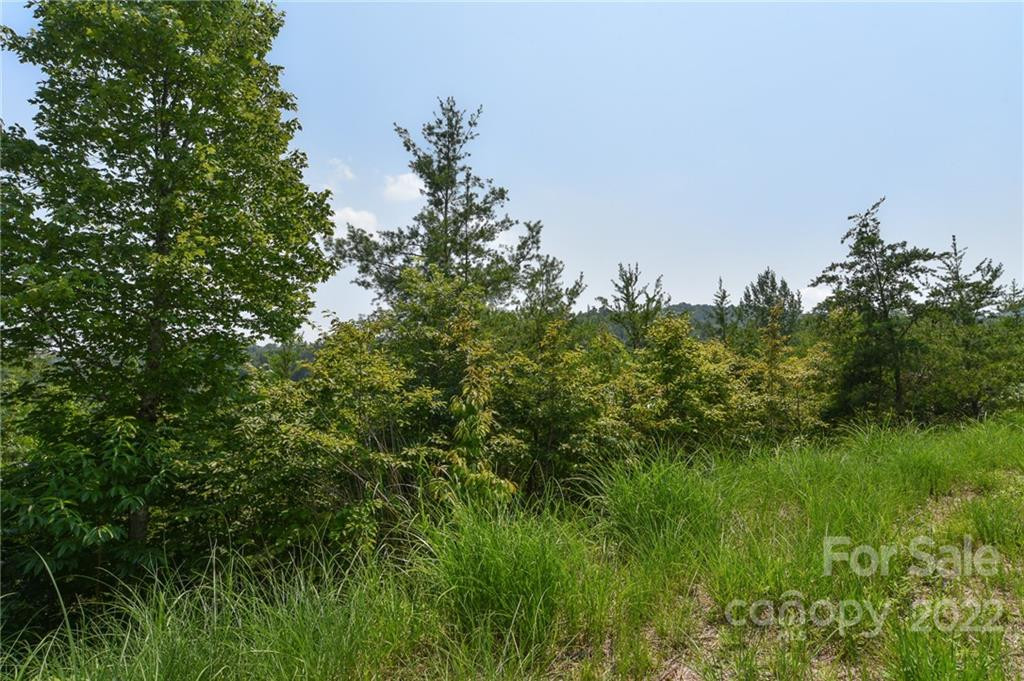 113 Chardonnay Avenue #10 - Photo 3