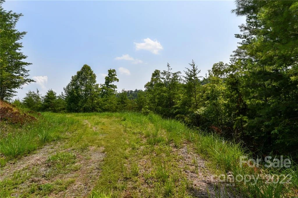 Lot 11 The Vines Boulevard #Lot 11 - Photo 2