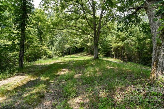 Lot 13 The Vines Boulevard, Marshall, NC, 28753