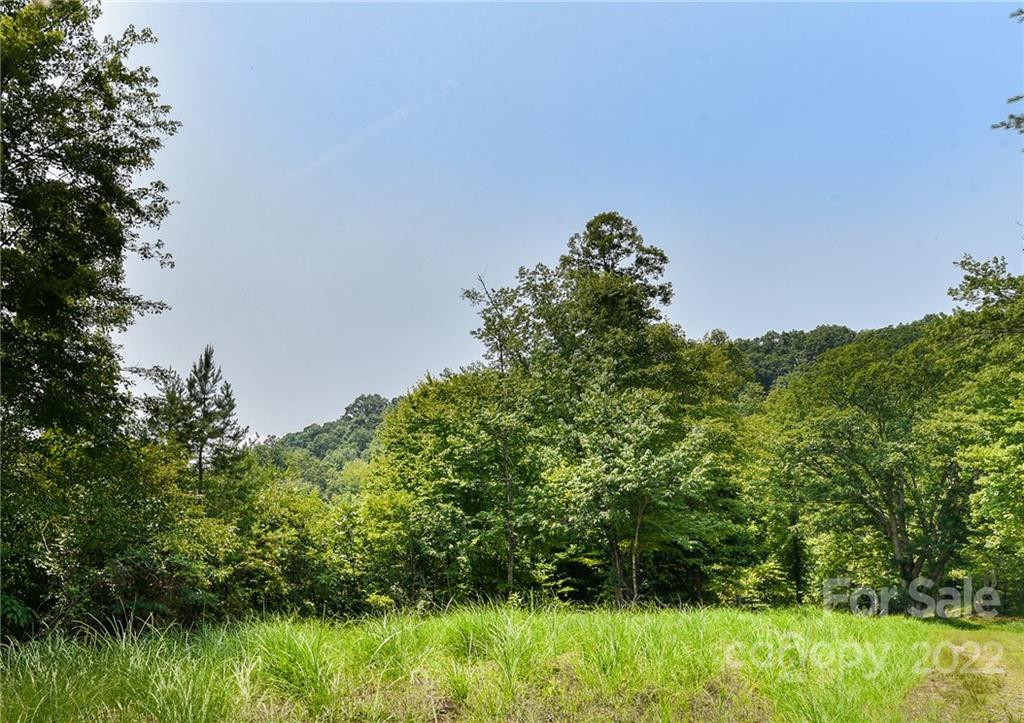 441 The Vines Boulevard #15 - Photo 2